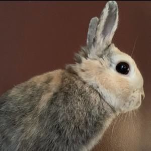 Meet your Posher, Valerie